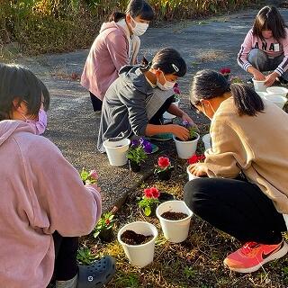 土はこれくらいでいいかな？