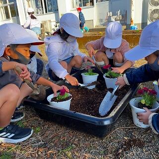 優しく植えようね