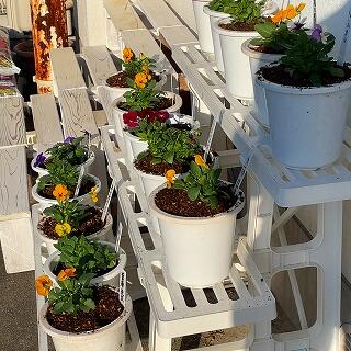 お世話もよろしくお願いしますね