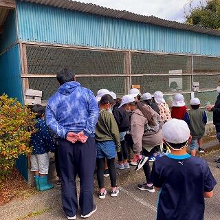 ぴょん吉、大丈夫？