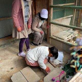 ぴょん吉、元気を出して…