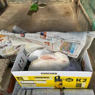 あたたかくて居心地いいなぁ