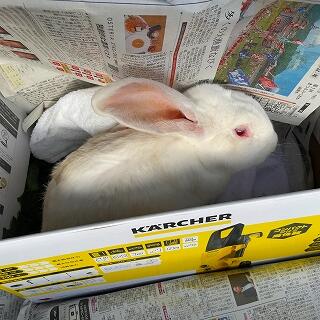 みんなありがとう、元気になるね。