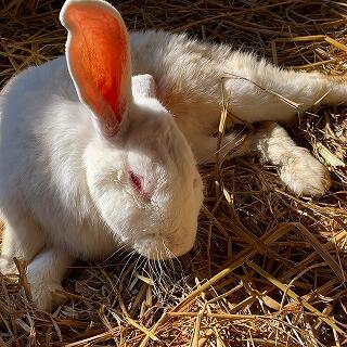 いつもいろいろとかまってくれてありがとう
