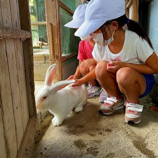 令和３年９月２９日　１年生とふれあうぴょん吉