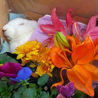 いままでありがとう