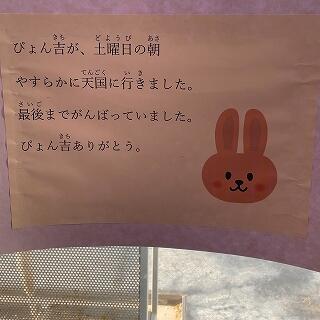 金曜日までみんなの姿を見届けたのですね