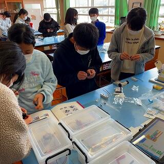 自然と協働しています