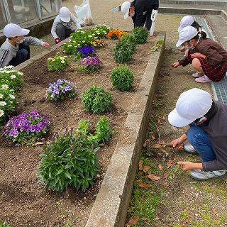 けっこう草が生えてきているね