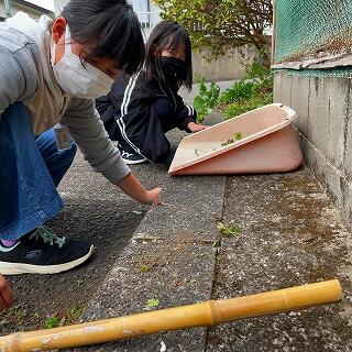 ぴょん吉はいませんが、きれいに保たないとね