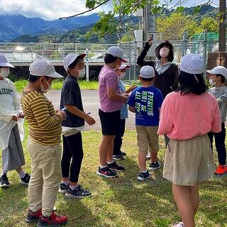 校庭に春の生き物をさがしに行きますよ。