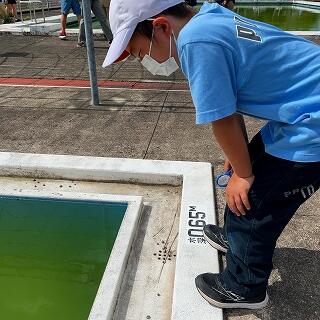 何かが動いているぞ…