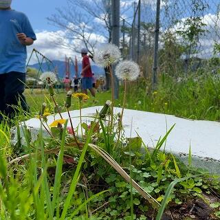 ぼくも見つけてよ