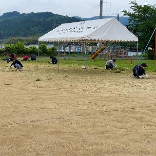 黙々と草をとってくださいます。