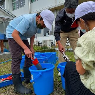 肥料を混ぜていきますよ