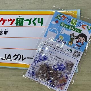 バケツ稲づくりセット