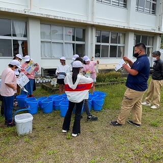 さぁ、いよいよ始めるよ