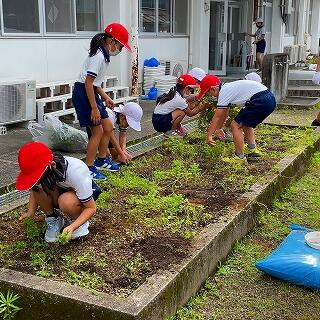 草がたくさん生えていましたね。