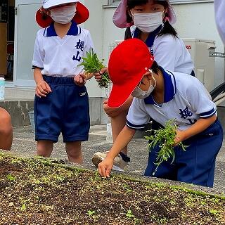 がんばって草をぬくぞ！