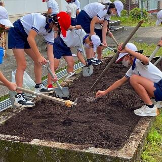 よく土を混ぜてふっくらした花壇になりますよ