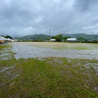 雨がしとしと降っています