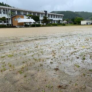 水たまりもできていますね