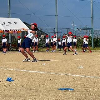 し－ろーだーん！