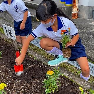 穴をしっかり掘って…