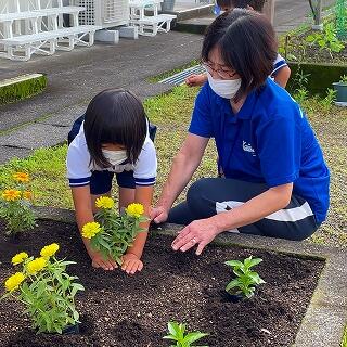 優しく植えてくださいね