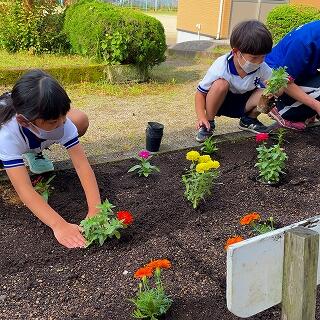 これで大丈夫かな？