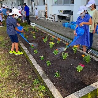 たっぷり水をあげましょう