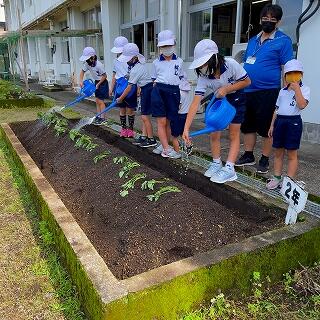 元気に育ってよ！