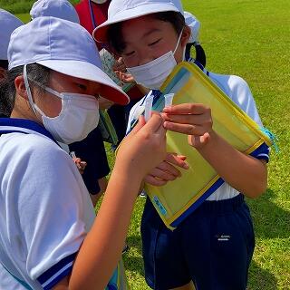 ねぇねぇ、色どうなった？