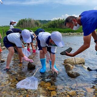 石の裏を探してごらんよ
