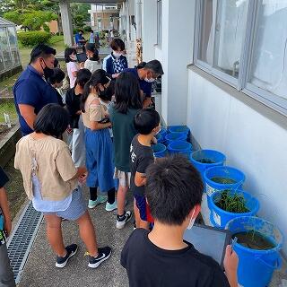成長の様子はどうかな？