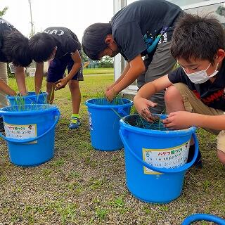 うわぁ、泥だぁ…