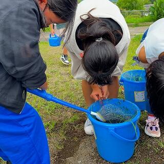 泥上５ｃｍまで水を入れるんだって