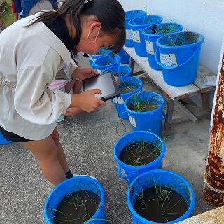 写真で記録しておきますよ