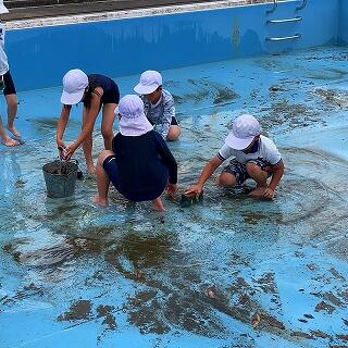 ３年生は初めてのプール掃除です