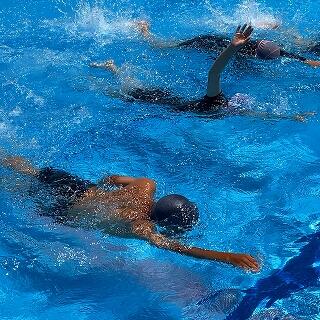 クロール、思い出したかな？