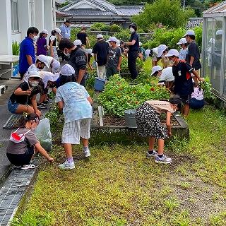 雨も多いから草も伸びます。