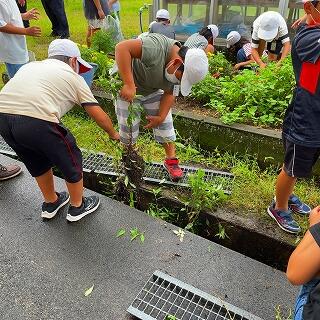 こんなところからも草が生えてるぞ