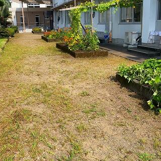 花壇まわりも、かなりスッキリ