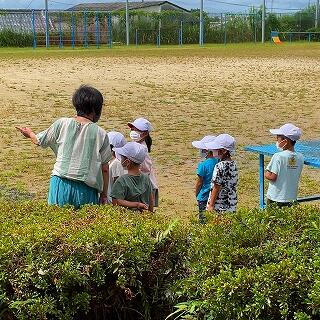 運動場にも危険はないかな？