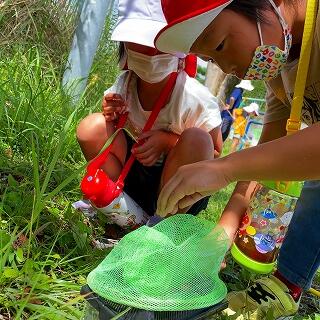 ちゃんと入ってるかな？