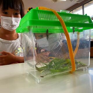 何匹いるかなぁ？