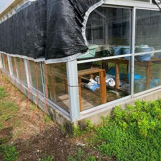 新しいガラスが入りました。