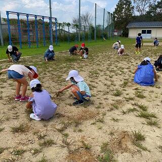 なかなかの茂りようです…