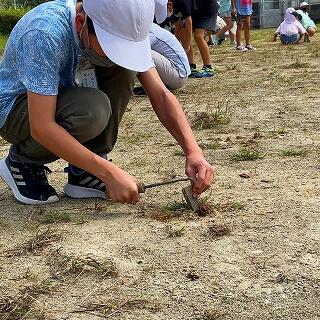 なかなか根まで抜けませんね。