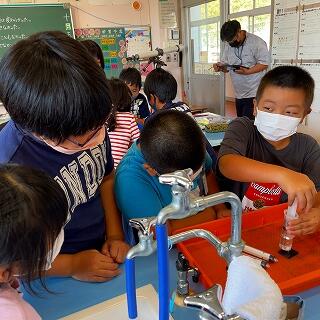 どうなるどうなる？